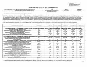 Бюджетний запит Інформація для оприлюднення - Фото 1