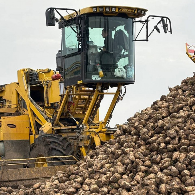 20251127104927.jpg, фото