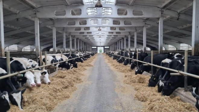 Волинське фермерське господарство отримало державну компенсацію за будівництво тваринницьких ферм