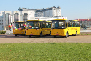 Дітей Волині перевозитимуть ще 6 шкільних автобусів - Фото 1