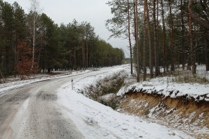 Волинські лісівники збудували вісім кілометрів лісової дороги - Фото 1