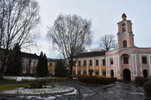 В області працюють над питанням відновлення Олицького замку - Фото 1