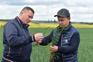 Економічний потенціал Волині підтримують успішні аграрії області. ДОСВІД «ВІЛІЇ» - Фото 1